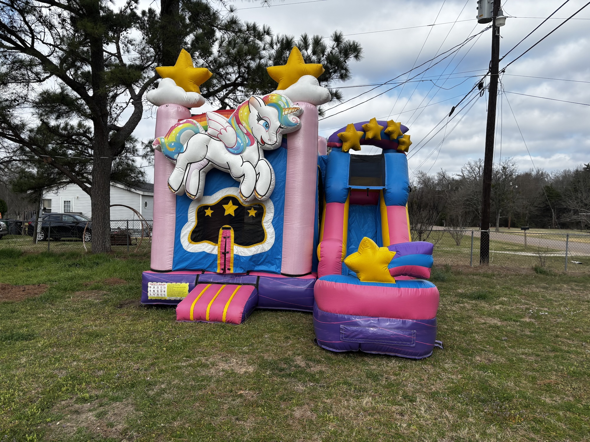 Unicorn bounce house rental in Dallas County backyard